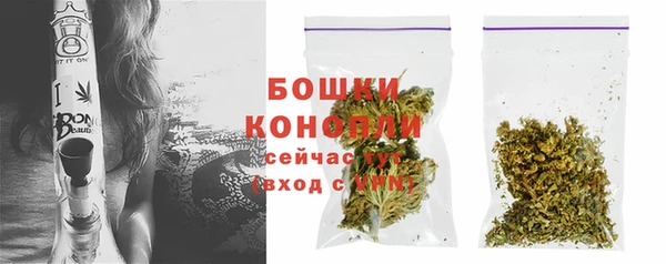 твердый Ленинск-Кузнецкий