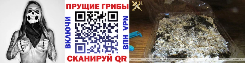 Галлюциногенные грибы мухоморы где купить наркоту Семёнов